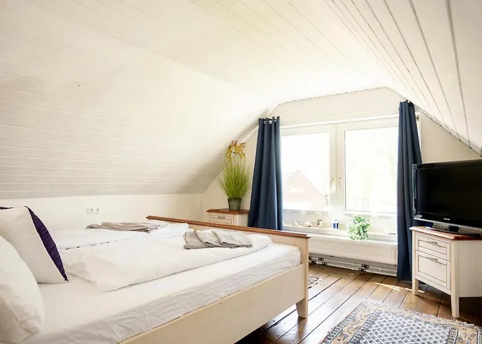 Conny´s Kajüte - Für Bis Zu 4 Personen, Mit Sauna Und Haustiere Herzlich Willkommen Ferienhaus *